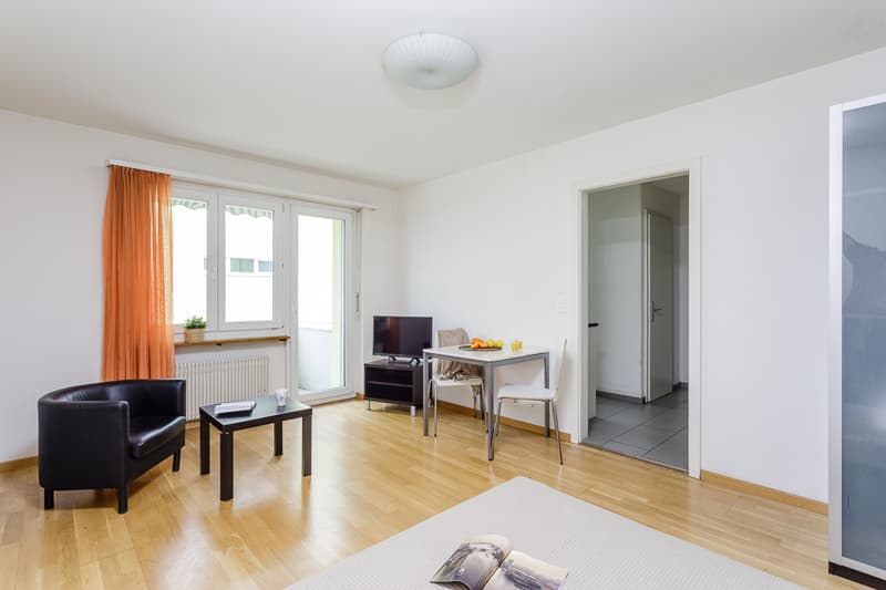 2.5 Zimmer Apartment in Oerlikon (2)