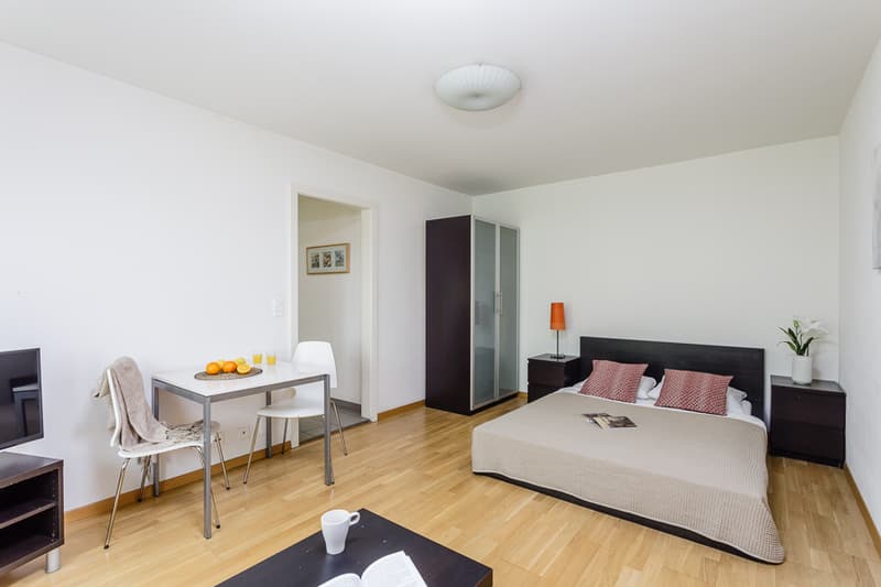 3.5 Zimmer Apartment in Oerlikon (1)