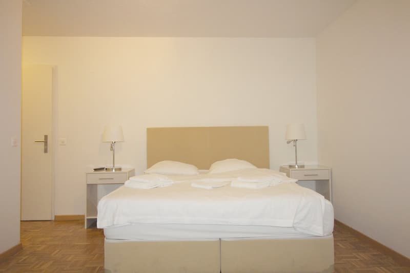1.5 Zimmer Apartment in Oerlikon (2)