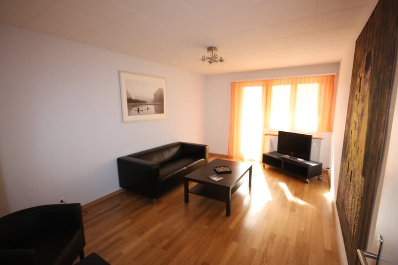 1 Zimmer Apartment in Oerlikon (1)