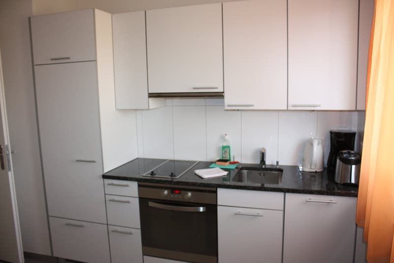 1 Zimmer Apartment in Oerlikon (4)