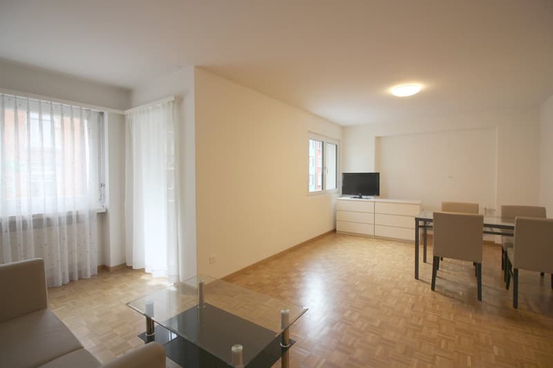 1 Zimmer Apartment im Zentrum Zürichs (2)