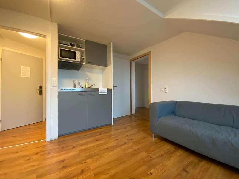 4.5 Zimmer Wohnung in Hottingen (2)
