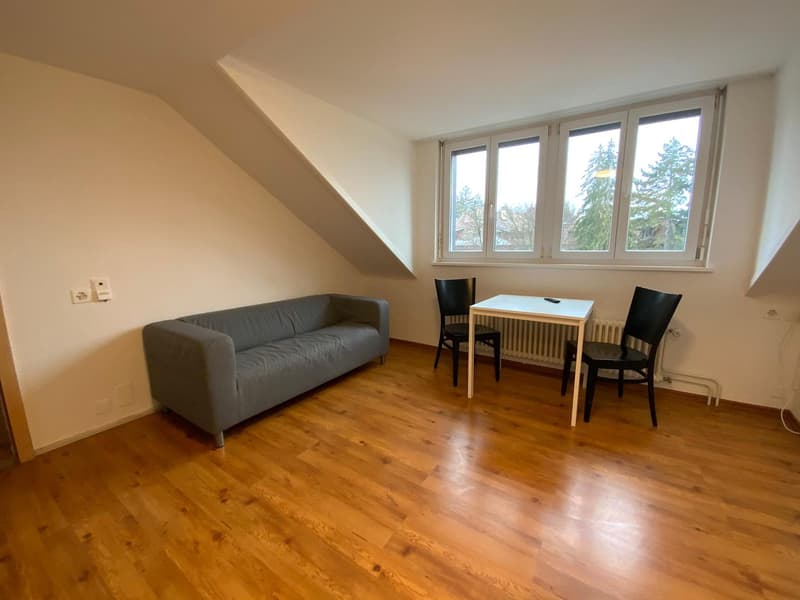 2.5 Zimmer Wohnung in Hottingen (1)