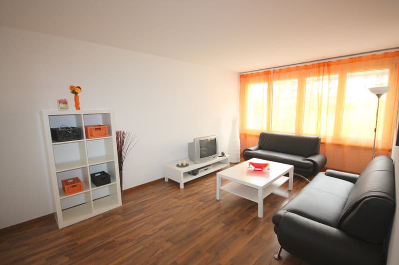 1 Zimmer Apartment in Oerlikon (2)