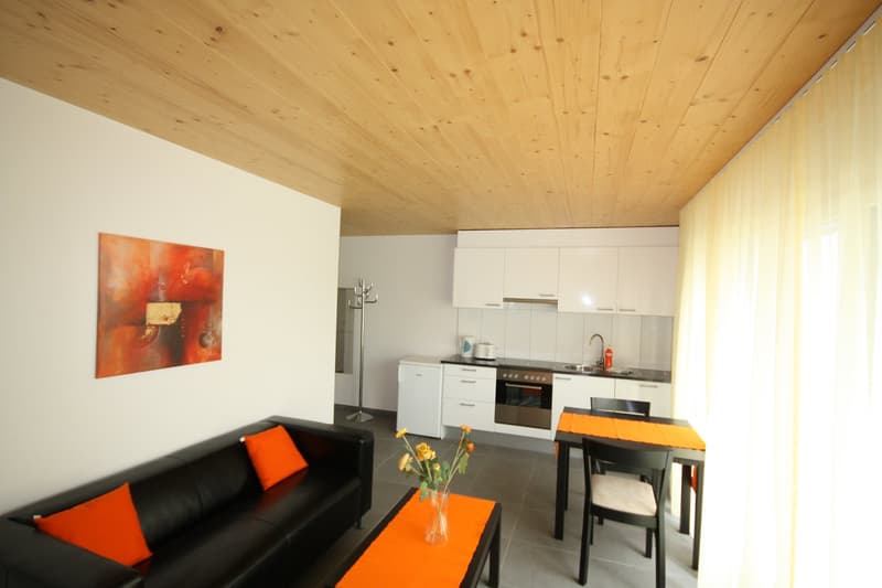 2 Zimmer Apartment in Oerlikon (1)