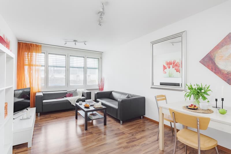 2 Zimmer Apartment in Oerlikon (2)