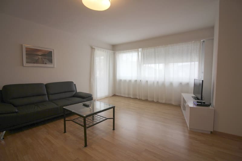 3 Zimmer Apartment im Zentrum Zürichs (2)