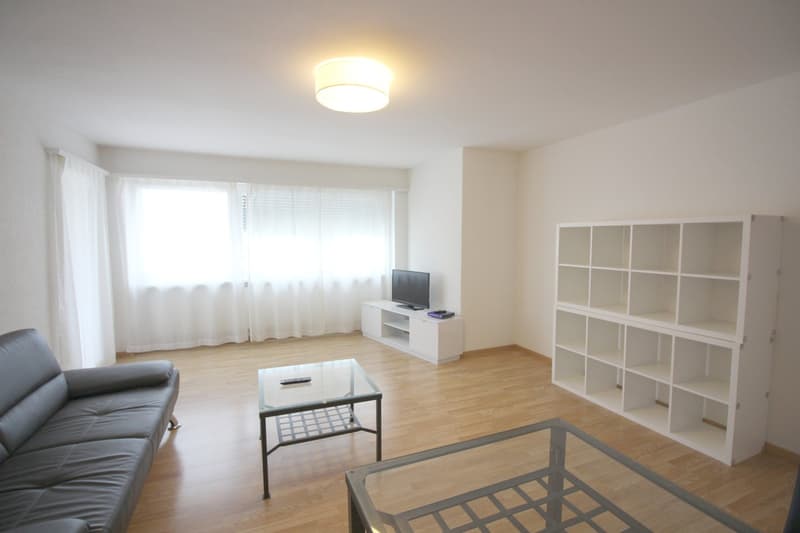 1 Zimmer Apartment im Zentrum Zürichs (1)