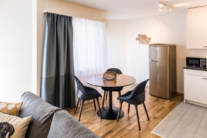 Easy Junior One Bedroom Apartment – Zurich Affoltern (2)