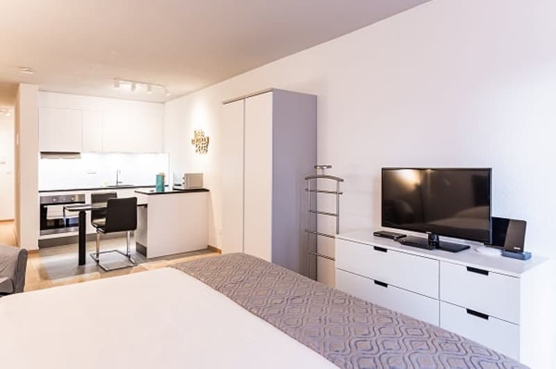 % Limited Offer % Easy Apartments – Zurich Affoltern (1)