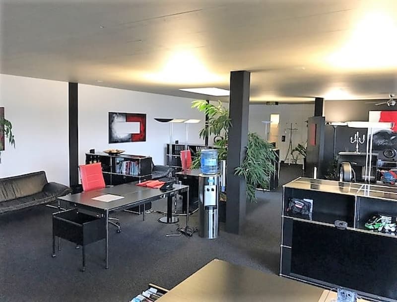 Espace commercial lumineux avec terrasse tout autour (11)