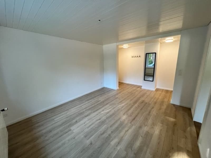 2.5-Zimmerwohnung, Wilerstrasse 35, 9630 Wattwil (1)