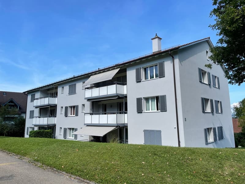 4-Zimmer-Wohnung in Egg b. Zürich zu vermieten (1)