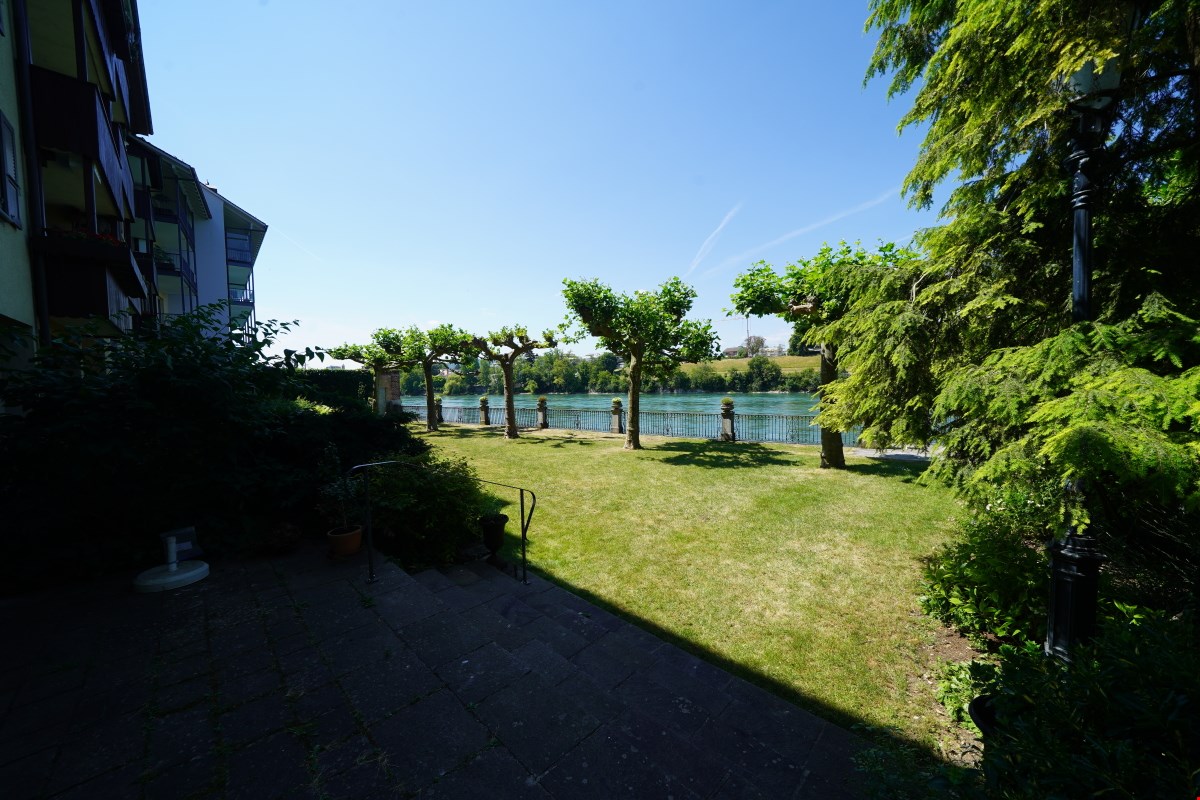 Wohnung kaufen in Rheinfelden homegate.ch