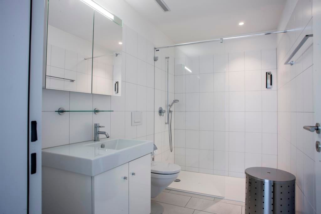 Furnished dwelling for rent in Canton Zug homegate.ch