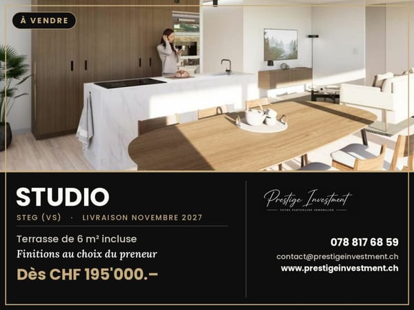 STUDIO NEUF À STEG (VS) - DÈS CHF 195'000.- 4
