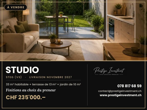 STUDIO NEUF avec jardin À STEG (VS) 3