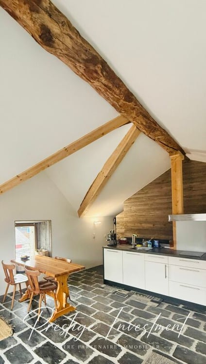 CHARMANT STUDIO DE RENDEMENT - 52 M2, MASE ! ( MONT-NOBLE ) 3
