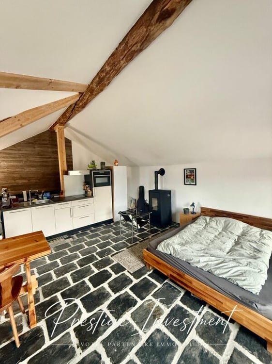 CHARMANT STUDIO DE RENDEMENT - 52 M2, MASE ! ( MONT-NOBLE ) 2