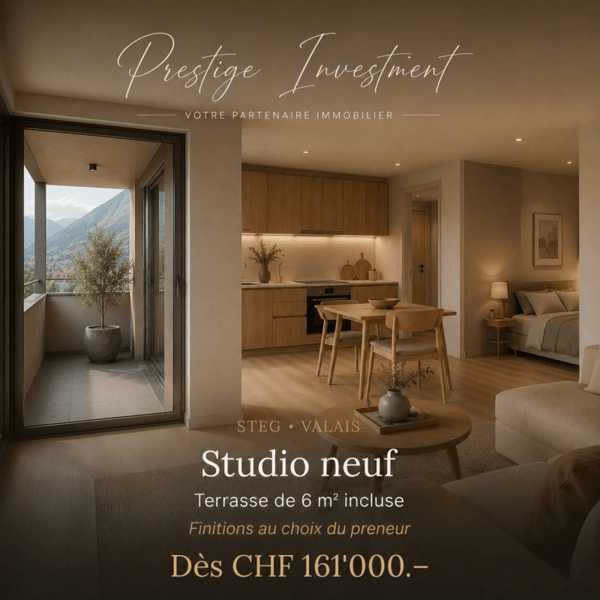 STUDIO NEUF À STEG (VS) - DÈS CHF 161'000 copie 3