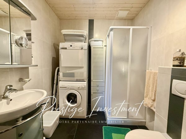ATTIQUE DUPLEX DE 5,5 PCES & 148 M2, SAILLON 10