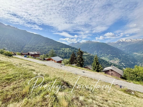 TERRAIN DE 885 M2 AVEC PERMIS EN FORCE - MAYENS DE MASE 5