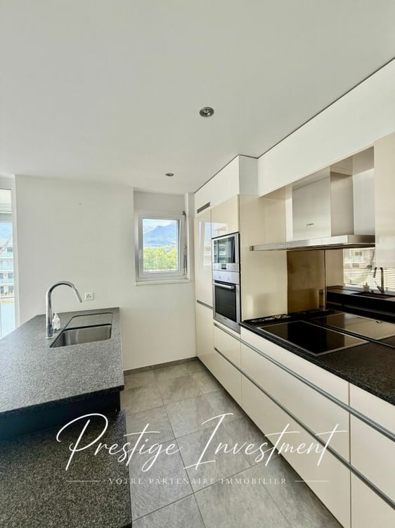 APPARTEMENT LUMINEUX EN TERRASSE DE 5.5 PCS & 148 M2 APROZ 8