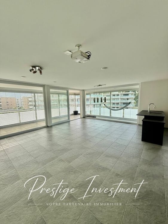 APPARTEMENT LUMINEUX EN TERRASSE DE 5.5 PCS & 148 M2 APROZ 4