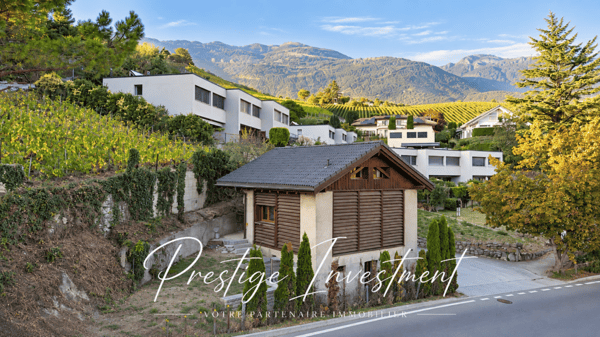 GRANGE RÉNOVÉE DE 3.5 PCES - VEYRAS