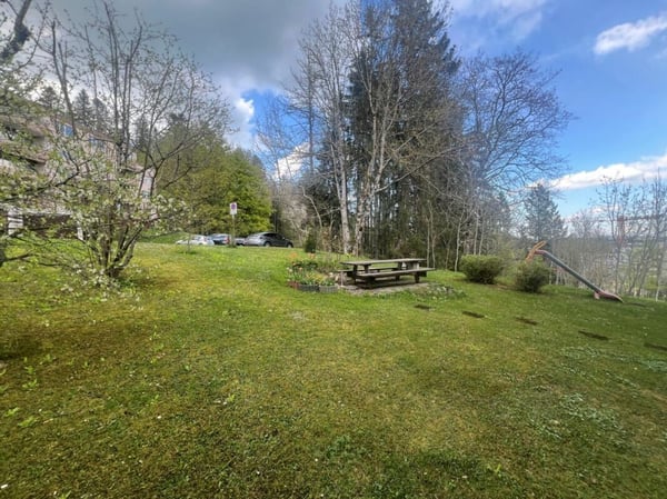 Appartement 1.5 pièces à La Chaux-de-Fonds 3