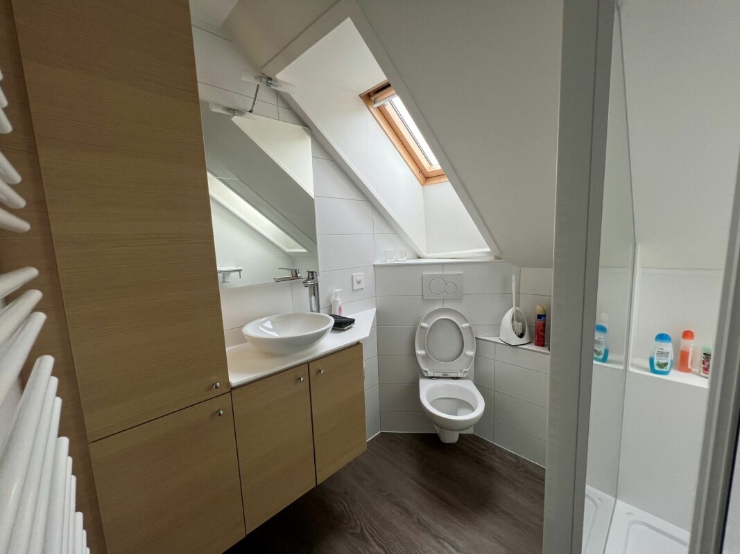 Saint-Blaise - Grand atelier avec bureaux et showroom attenant à une maison de 2 logements