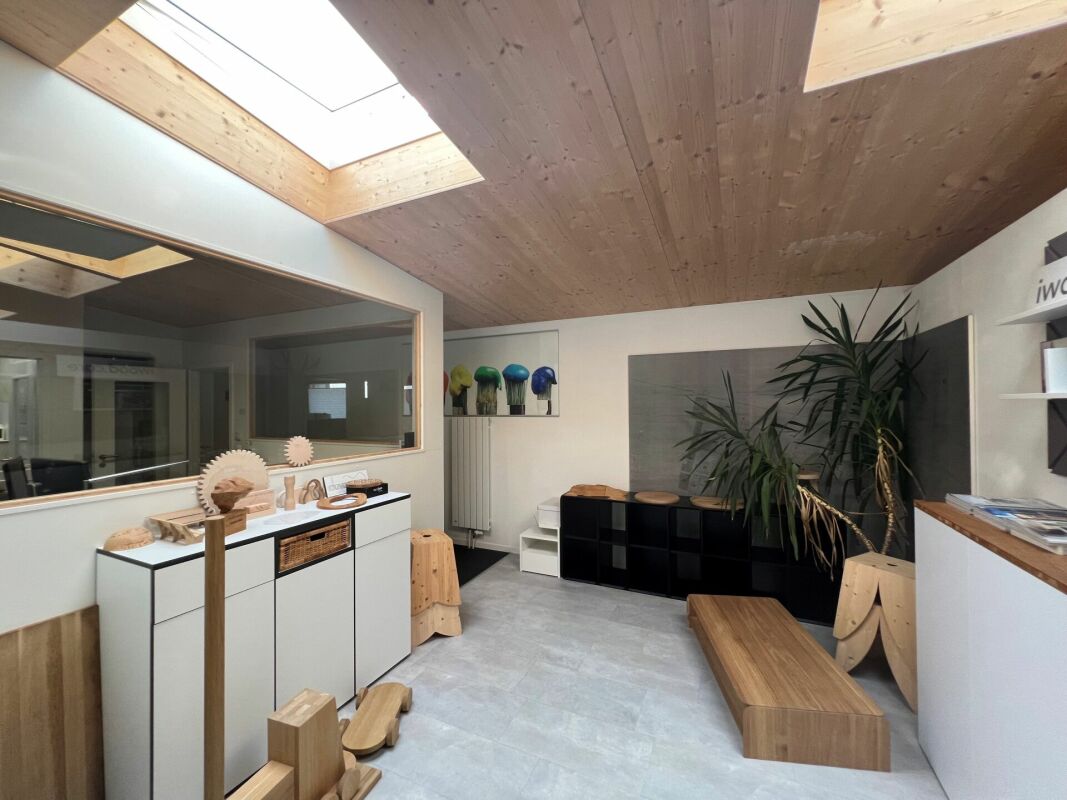 Saint-Blaise - Grand atelier avec bureaux et showroom attenant à une maison de 2 logements