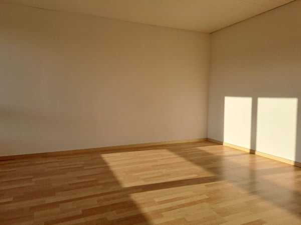 lichtdurchflutete 1-Zimmerwohnung zu vermieten 3