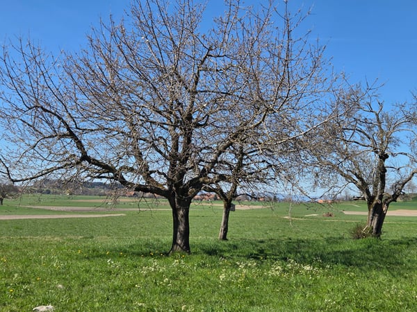 Ehemaliges Taunerhaus im Grünen 15