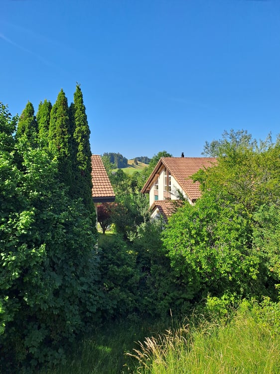 Familienfreundliches 4.5-Zimmer-Einfamilienhaus zu vermieten 9