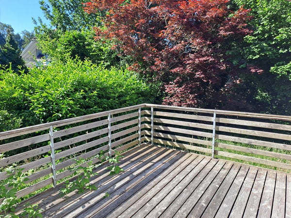 Familienfreundliches 4.5-Zimmer-Einfamilienhaus zu vermieten 5
