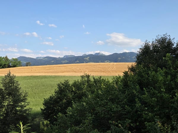 Charmantes Einfamilienhaus mit grosszügigem Grundstück und Blick in die Gantrischkette 25