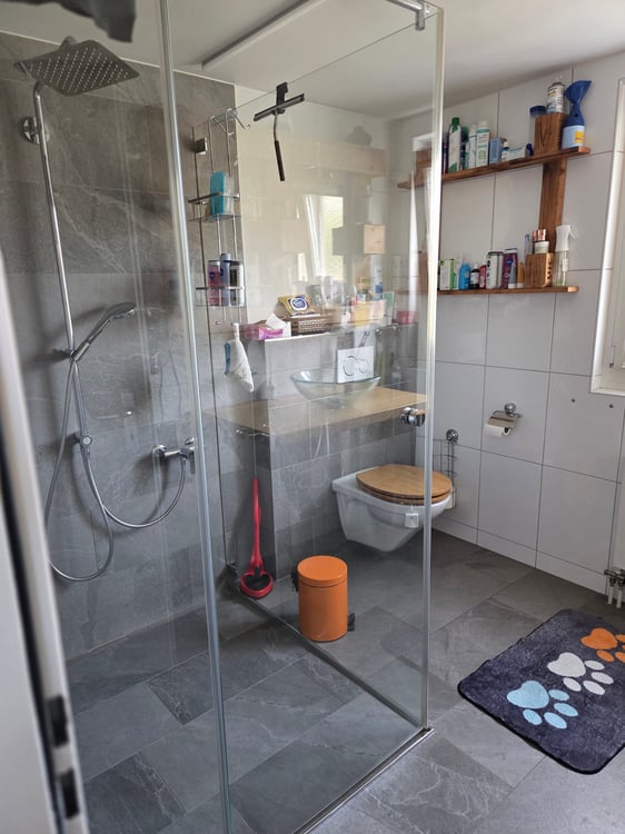 Charmantes Einfamilienhaus mit grosszügigem Grundstück und Blick in die Gantrischkette 10