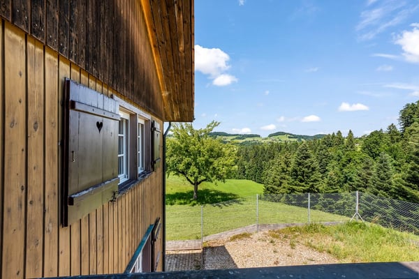 Diese Immobilien-Perle ist eine traumhafte und einzigartige Oase in der Natur 4