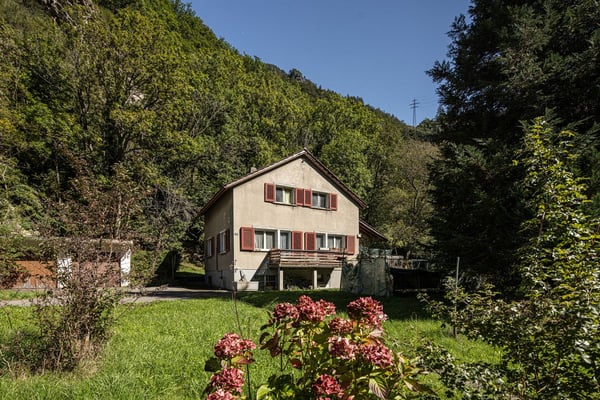 Einfamilienhaus mit sehr grosser Grünfläche 1