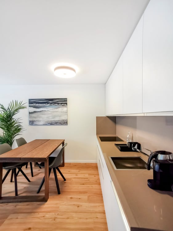 Möblierte 2 Zimmer Wohnung mit Balkon im Zentrum von Luzern – ab September 2026 verfügbar 3