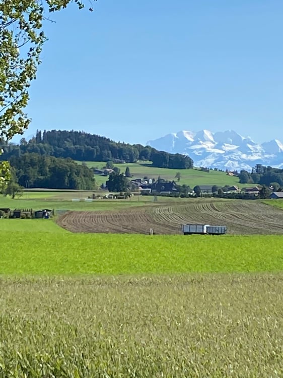 Charmante 3.5-Zimmer-Wohnung mit herrlicher Aussicht in Worb 7