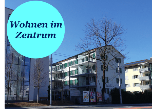 Helle Stadtwohnung im Tribschenquartier