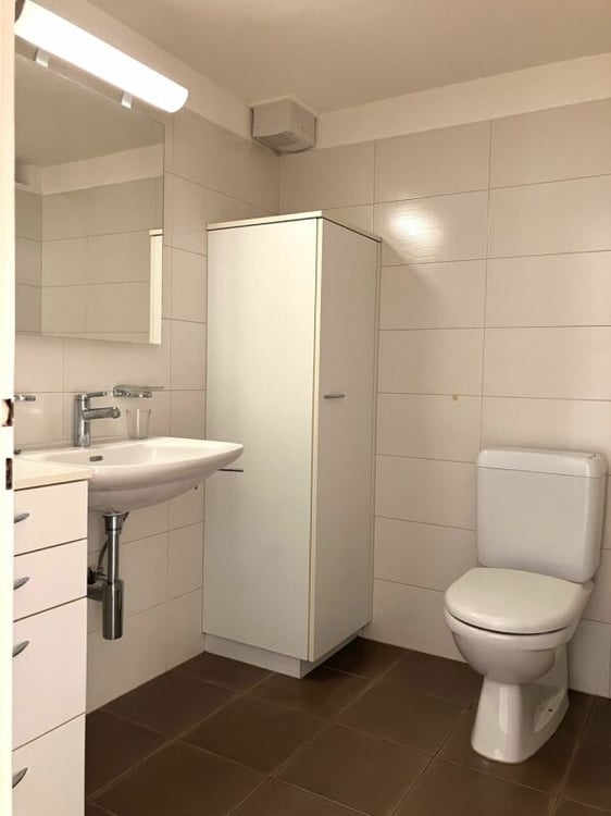 Rarität in Erlinsbach - Rendite trifft Zukunftspotenzial 7