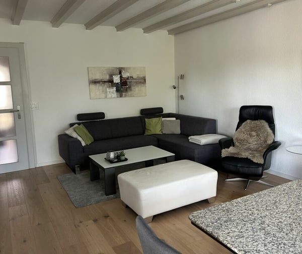 Ein Haus mit Seele - Grosszügiges Einfamilienhaus mit Traumgarten in Fulenbach 9