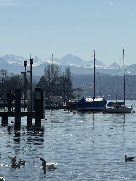 Mehrfamilienhaus in guter Lage mit Potential 5