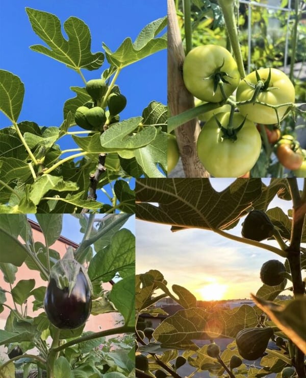 Ihr sonniges Familienparadies - Gartenoase - privatsphäre - Stadtnah, wo Wein wächst, Kinder lachen und Abende golden sind. 13
