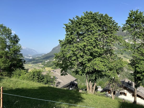 Sonniges Bauland mit Aussicht Platz für 2 Gebäude: Zwei Einfamilienhäuser oder ein grosszügiges Wohnbauprojekt 3