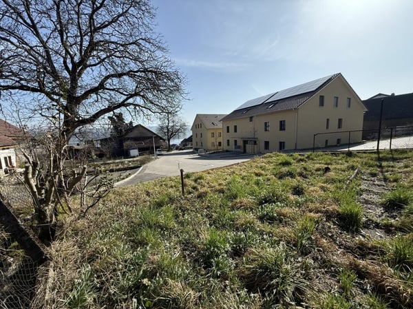 Attraktives Grundstück mit Seeblick und Entwicklungspotenzial in Beinwil am See 4